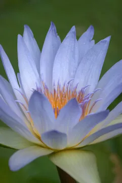 今日公告卡片图